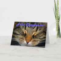 Feliz Cumpleaños Espanhol Aniversário com gatinho