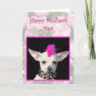 Cartão feliz da chihuahua do punk do dia das mãe