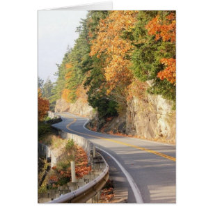 Cartão feliz das fugas