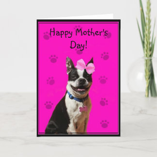 Cartão feliz de Boston Terrier do dia das mães