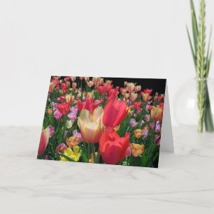 Cartão Feliz Dia das Mães Com Tulipas