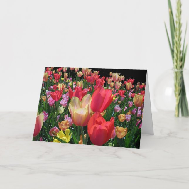 Cartão Feliz Dia das Mães Com Tulipas (Frente)