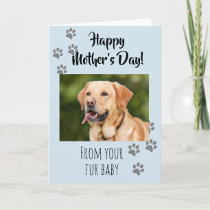 Cartão Feliz Dia das Mães Foto Cachorro Gato Pet Bichinho