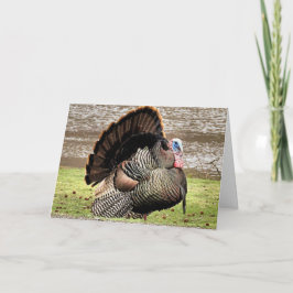 Cartão Feliz Dia de Ação de Graças