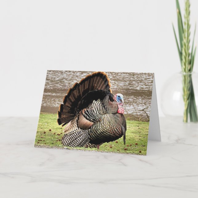 Cartão Feliz Dia de Ação de Graças (Frente)