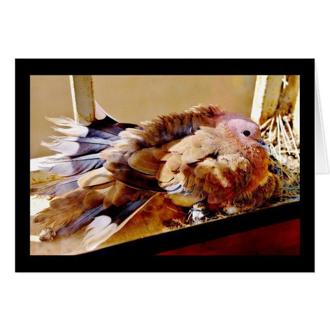 Cartão Feliz Dia de as mães! (Frente Horizontal)