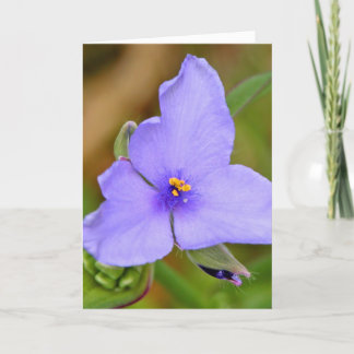 Cartão Feliz Dia de as mães!