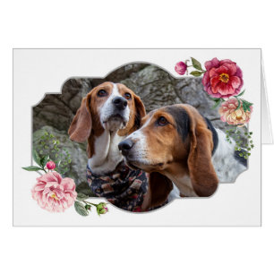 Cartão Feliz Dia de as mães, Cães