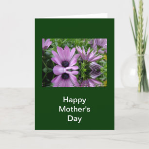 Cartão Feliz dia de as mães de flores de margarida roxa