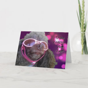 Cartão Feliz dia de as mães de Poodle da legal Mãe