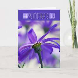 Cartão Feliz Dia de as mães - Geral - Cineraria Roxo