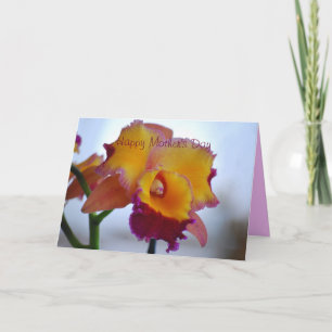 Cartão Feliz Dia de as mães Laranja, Violet Cattleya Orch
