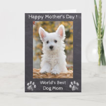 Feliz dia de as mães - Melhor Mãe de Cachorro do M