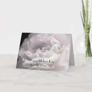 Cartão Feliz Dia de as mães para a esposa, Rosa Petals Fl
