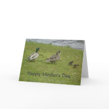 Feliz dia de as mães Patos