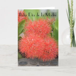 Cartão Feliz Dia de la Madre 18