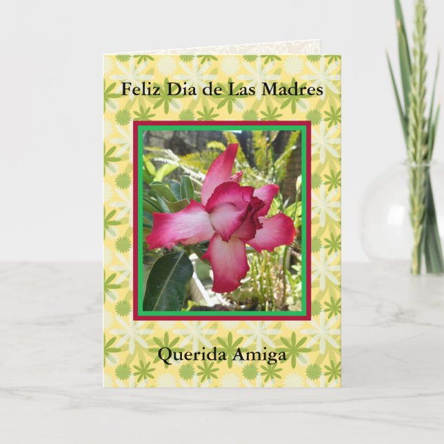 Cartão Feliz Dia de las Madres, amiga querida 721 (Frente)