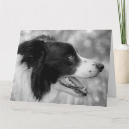Cartão Feliz Dia de Latir Border Collie Cachorro Aniversá