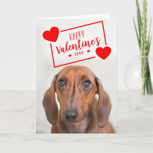Cartão feliz dia de os namorados   Doce Dachshund Puppy
