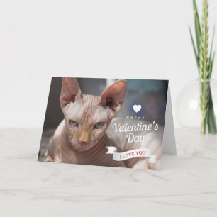 Cartão Feliz Dia dos Namorados   Gato Sem Pelo Sphynx