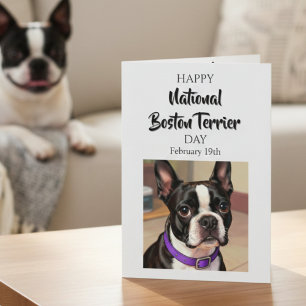 Cartão Feliz Dia Nacional do Boston Terrier 19 de Fever