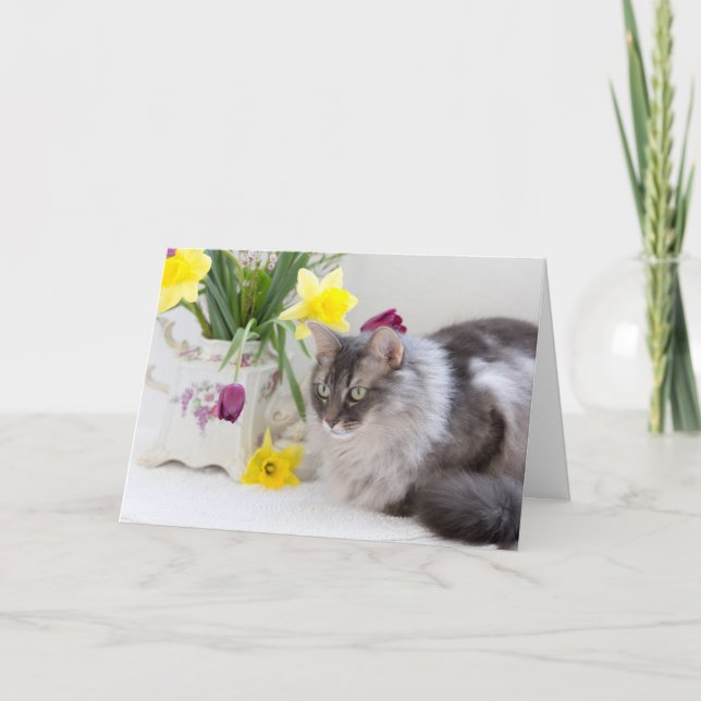 Cartão Feliz Dia Nacional dos Irmãos! (Frente)