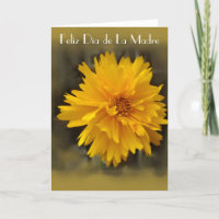 Feliz Diâmetro de la Madre 7