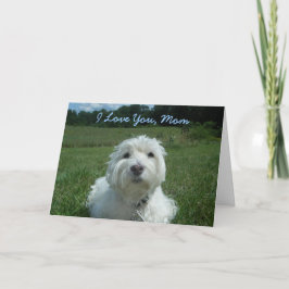 Cartão feliz do dia das mães da mamã de Westie eu