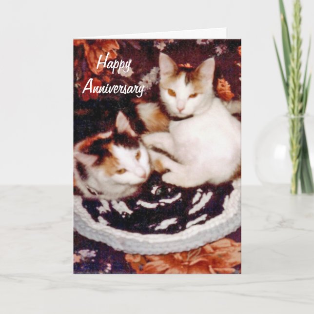 Cartão feliz do gato do aniversário (Frente)