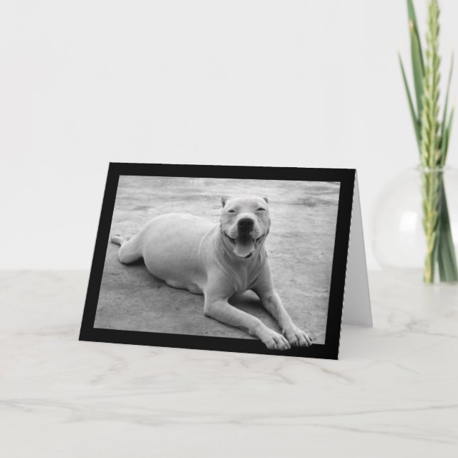 Cartão feliz do pitbull (Frente)