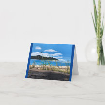 Feliz. Escondido do acampamento no compartimento d