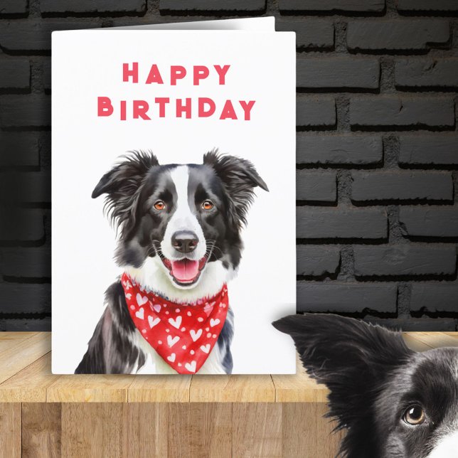 Cartão Feliz Fronteira Collie Leia Heart Bandana Birthday (Criador carregado)