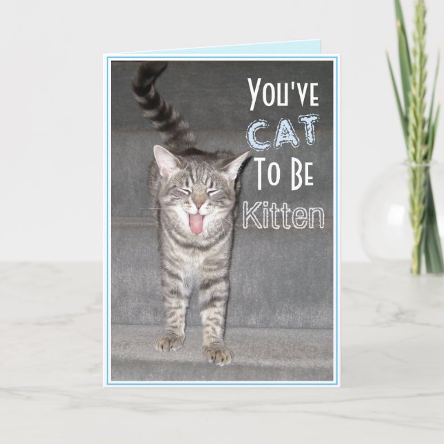 Cartão Feliz Gato Engraçado de aniversário de 40 anos (Frente)