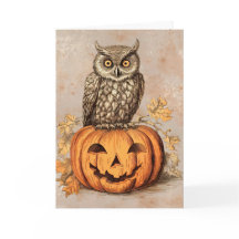 Feliz Halloween Coruja Fofa & Abóbora