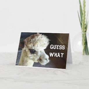 CARTÃO FELIZ *HALLOWEEN* DIZ PLACA LLAMA