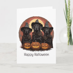 Cartão Feliz Halloween Labrador Cachorros de Rebanho