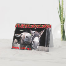 Feliz Holibrays de Bunny e Hershey!