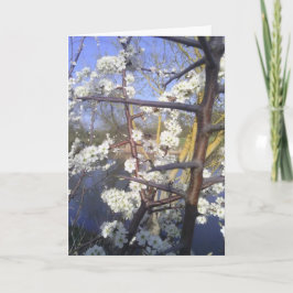 Cartão Feliz Imbolc (flor de espinho negro)