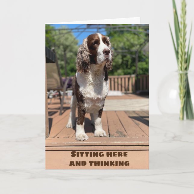 CARTÃO FELIZ ***JANEIRO*** ANIVERSÁRIO PARA VOCÊ! CARTAO (Frente)