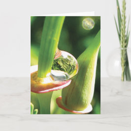 Cartão Feliz, Mágico, Amizade de Largar