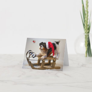 Cartão Feliz Natal.