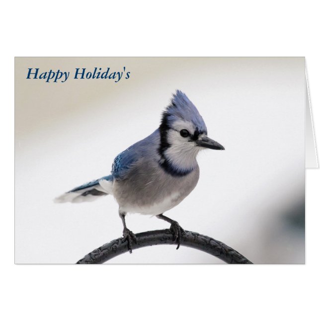 Cartão Feliz Natal (Frente Horizontal)