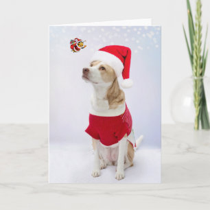 Cartão Feliz Natal.