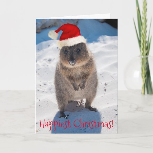 Cartão Feliz Natal da Quokka e Ano Novo (Frente)