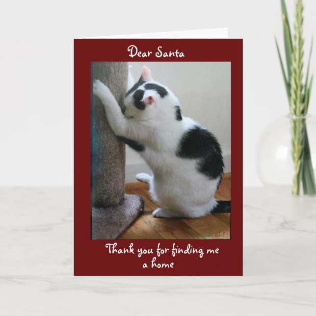 Cartão Feliz Natal do Seu Gato Adotado (Frente)