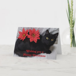 Cartão Feliz Natal, Gato Negro, Foto de Poinsettias Verme