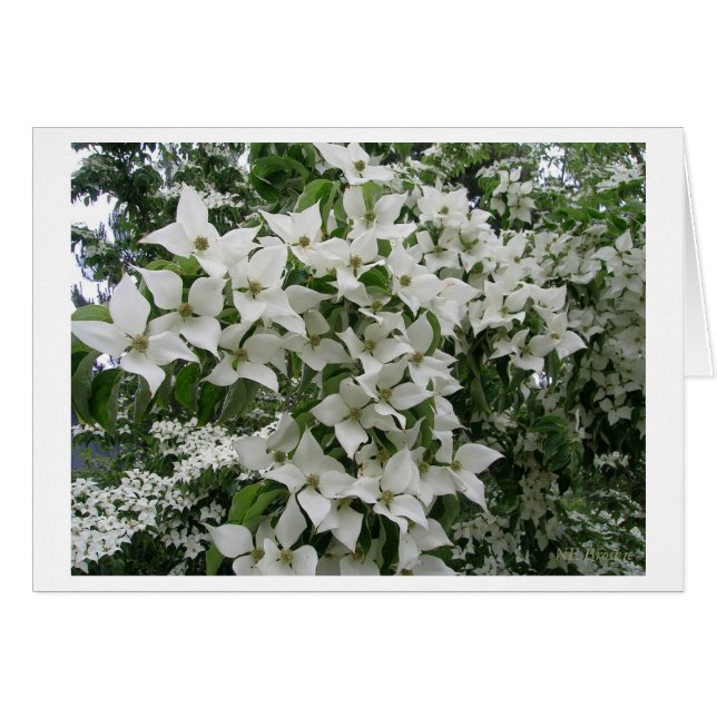 Cartão Feliz Nova Vida Juntos (Frente Horizontal)