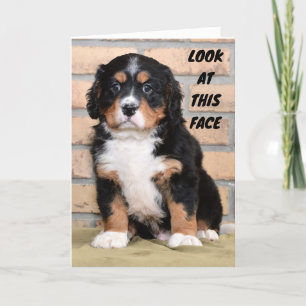 CARTÃO "FELIZ OBRIGADO A VOCÊ" DIZ TRISTE PONTO