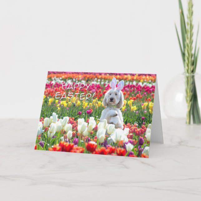 Cartão Feliz Páscoa Doodle (Frente)