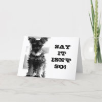 FELIZ PELA SUA NOVA AVENTURA, MAS VAI SENTIR A SUA